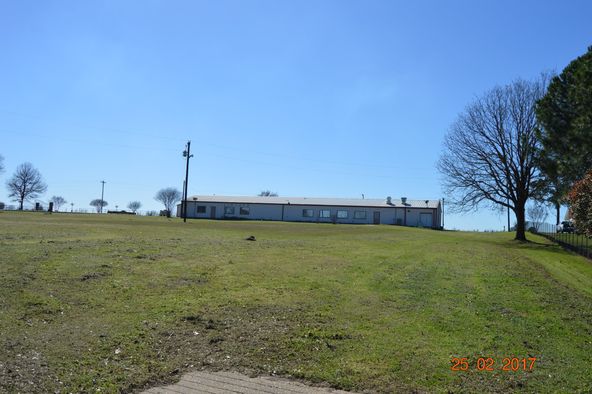 4856 North Fm 17, Alba, TX 75410